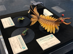 特別展会場風景写真