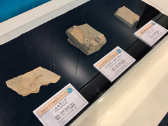特別展会場風景写真