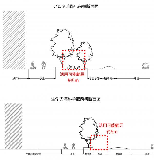 横断面図