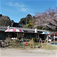 大塚西保育園