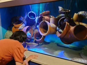 竹島水族館