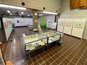 この写真は展示室の様子です。