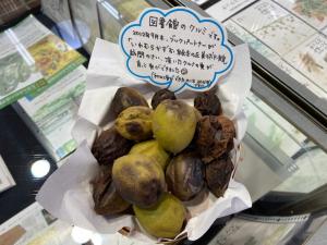 この写真は展示室に置いているクルミの実です。