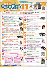 2024年11月イベントカレンダーサムネイル画像