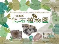 企画展「化石植物園」のサムネイル画像