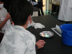 この写真は実験の様子です。