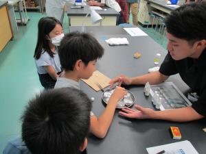 この写真は実験の様子です。