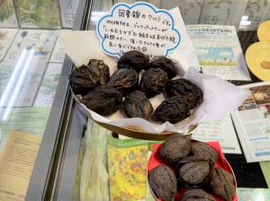 この写真は展示室のくるみの様子です。
