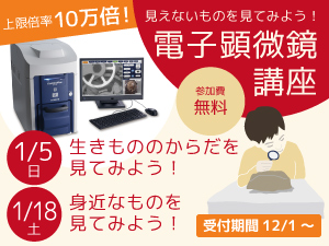電子顕微鏡講座のバナー画像