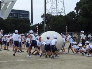大玉①