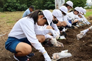 小学生スイセン１