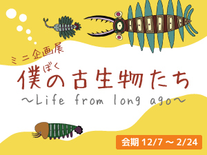 ミニ企画展「僕の古生物たち 〜Life from long ago〜」のバナー画像