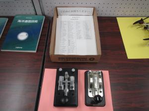 この写真は毎年人気の展示品です。
