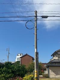 ウォークの投稿の一部