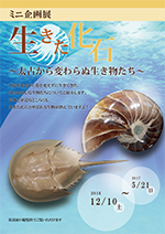 ミニ企画展「生きた化石 〜太古から変わらぬ生き物たち〜」のチラシサムネイル画像