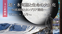 ミニ企画展「超・氷河期と生命の大進化　〜全球凍結とカンブリア爆発〜」