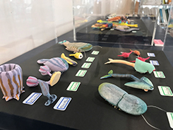 ミニ企画展「僕の古生物たち 〜Life from long ago〜」会場風景写真