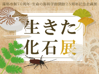 企画展「生きた化石展」のサムネイル画像