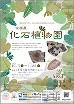 企画展「化石植物園」サムネイル画像