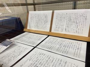この写真は展示の様子です。