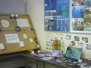 この写真は展示の奥の方の様子です。