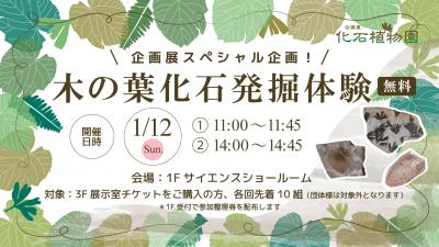 木の葉化石発掘体験サムネイル画像