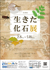 企画展「生きた化石展」チラシサムネイル画像