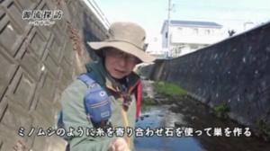 丹下川