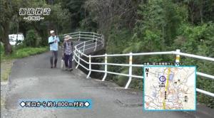 中野川