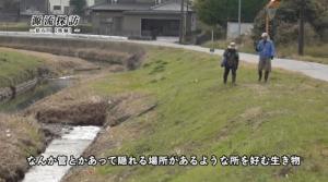 拾石川後編