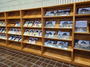この写真は有名人の顔の切り絵です