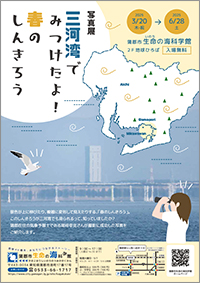写真展「三河湾でみつけたよ！春のしんきろう」チラシサムネイル画像