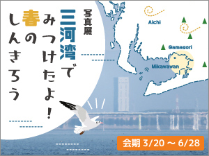 写真展「三河湾でみつけたよ！春のしんきろう」バナー画像