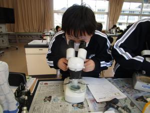 蒲郡産ガーネットを顕微鏡でのぞいて