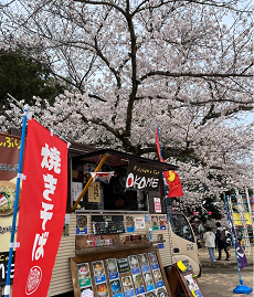 お店です