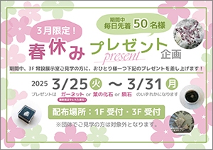 春休み！プレゼント企画のポスター画像