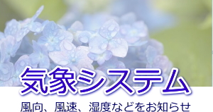 kisyou