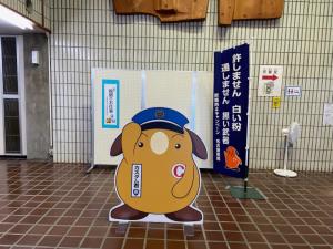 この写真は展示の様子です。