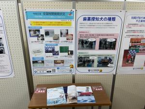 この写真は展示の様子です。