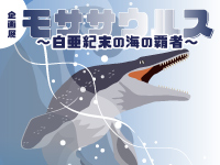 企画展「モササウルス 〜白亜紀末の海の覇者〜」のサムネイル画像