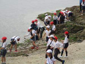３，４年生　竹島散策
