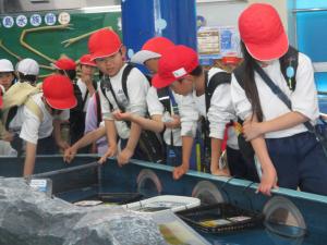 ３，４年生　水族館見学１