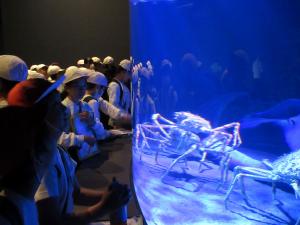 ５，６年生　水族館見学