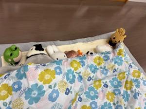 この写真はぬいぐるみのおとまり会の様子です。