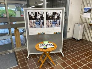 この写真はブラウジングルームの映画ポスター展示です。