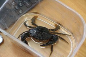 あ