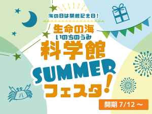 生命の海科学館SUMMERフェスタ！のバナー画像