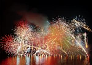 納涼花火大会の過去画像