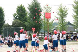 玉入れの様子です。