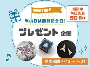 海の日は開館記念日！「プレゼント企画」のバナー画像